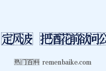 定风波·把酒花前欲问公是什么意思的图片